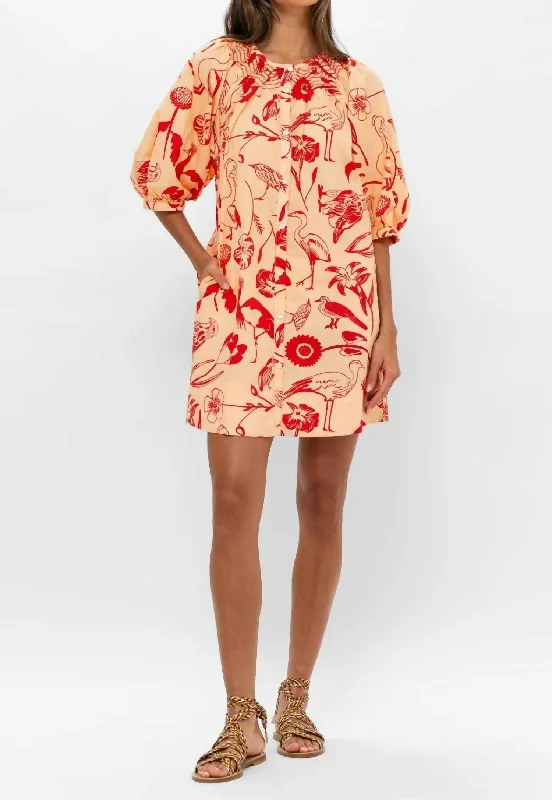 Big Discounts Embroidered Button Mini Dress In Audubon Red